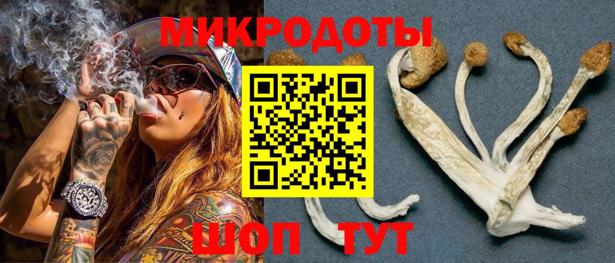 Торжок  Псилоцибиновые грибы Magic Shrooms  Вход с VPN 